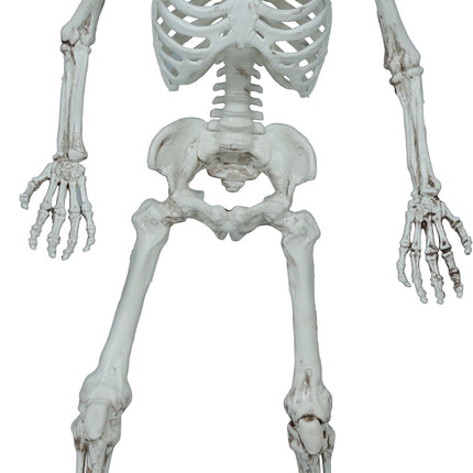 Scheletro di Halloween 55 cm