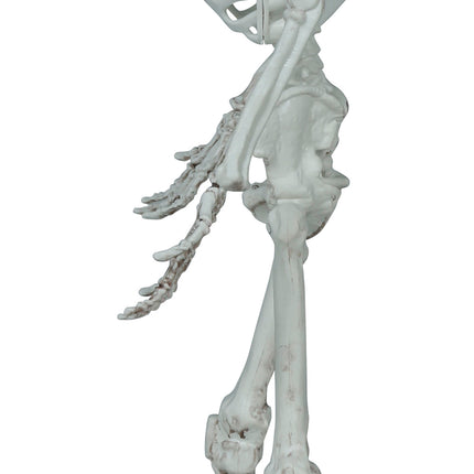 Scheletro di Halloween 55 cm