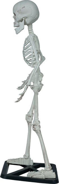 Scheletro di Halloween 55 cm
