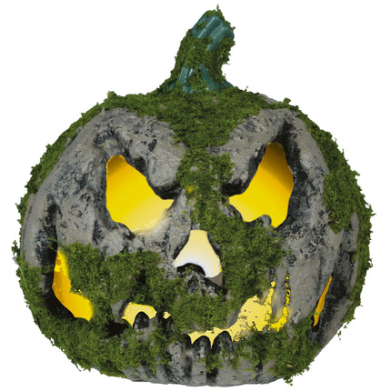 Zucca di Halloween con muschio e luce 20 cm