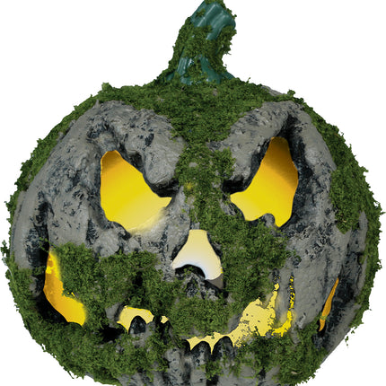 Zucca di Halloween con muschio e luce 20 cm