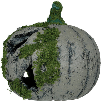 Zucca di Halloween con muschio e luce 20 cm