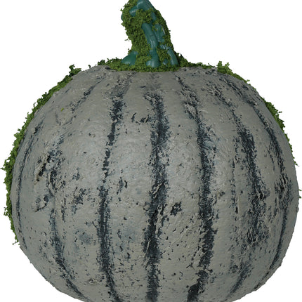 Zucca di Halloween con muschio e luce 20 cm