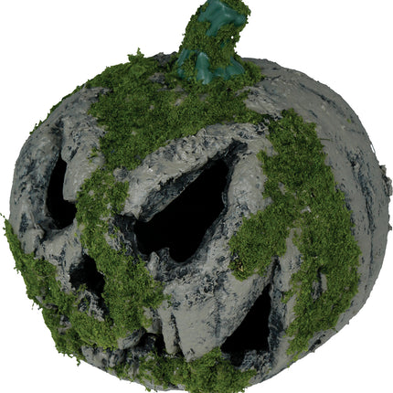 Zucca di Halloween con muschio e luce 20 cm