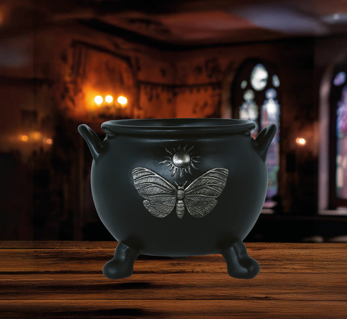 Calderone della strega di Halloween 22 cm