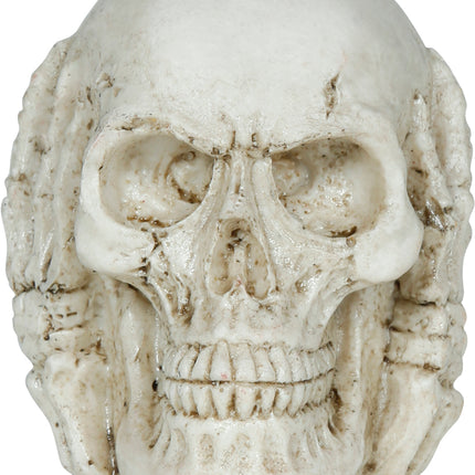 Teschio di Halloween 6 cm