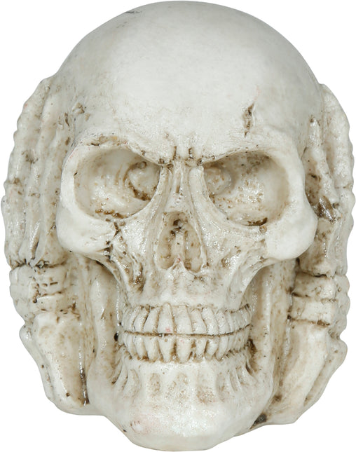 Teschio di Halloween 6 cm