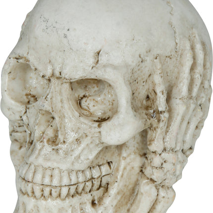 Teschio di Halloween 6 cm