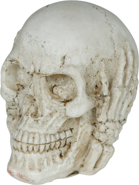 Teschio di Halloween 6 cm
