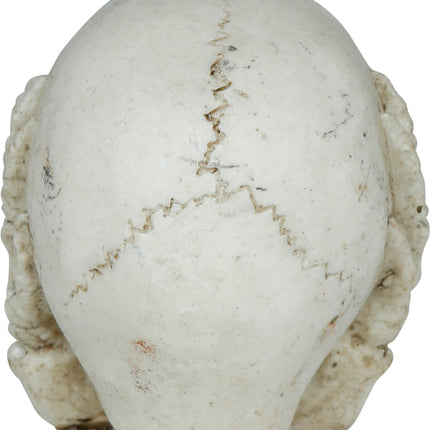 Teschio di Halloween 6 cm
