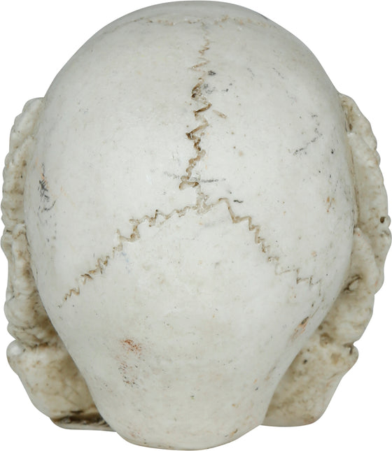 Teschio di Halloween 6 cm