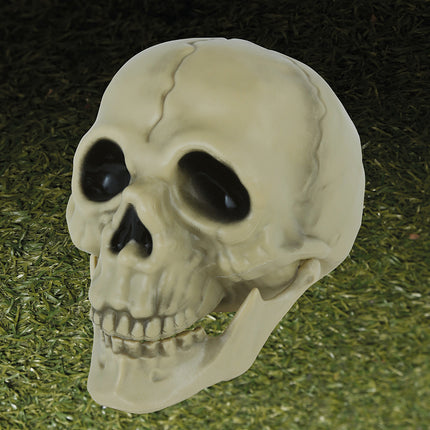 Teschio di Halloween 13 cm