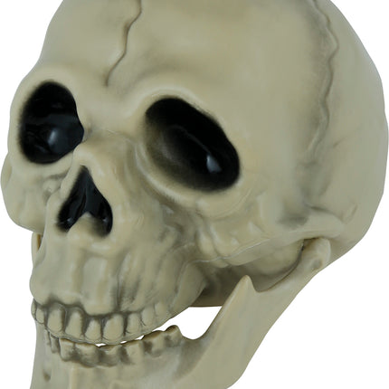 Teschio di Halloween 13 cm