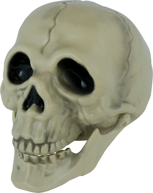 Teschio di Halloween 13 cm
