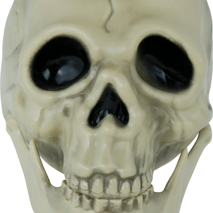 Teschio di Halloween 13 cm
