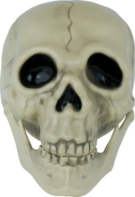 Teschio di Halloween 13 cm