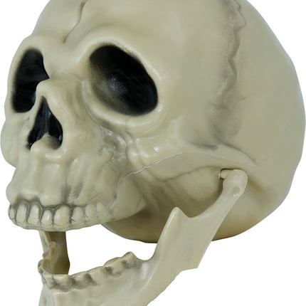 Teschio di Halloween 13 cm