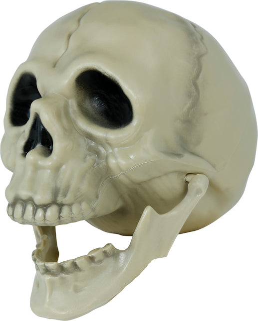Teschio di Halloween 13 cm