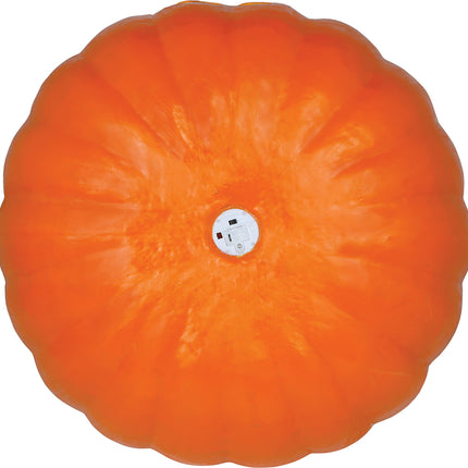 Zucca di Halloween con luce, 45 cm