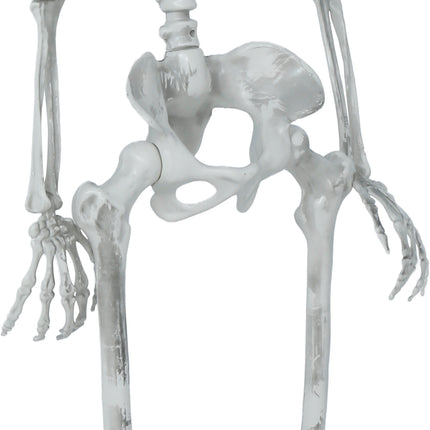 Scheletro di Halloween articolato, 1,4 m