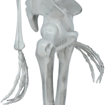 Scheletro di Halloween articolato, 1,4 m