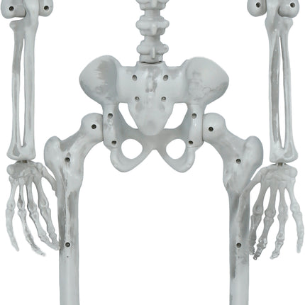 Scheletro di Halloween articolato, 1,4 m