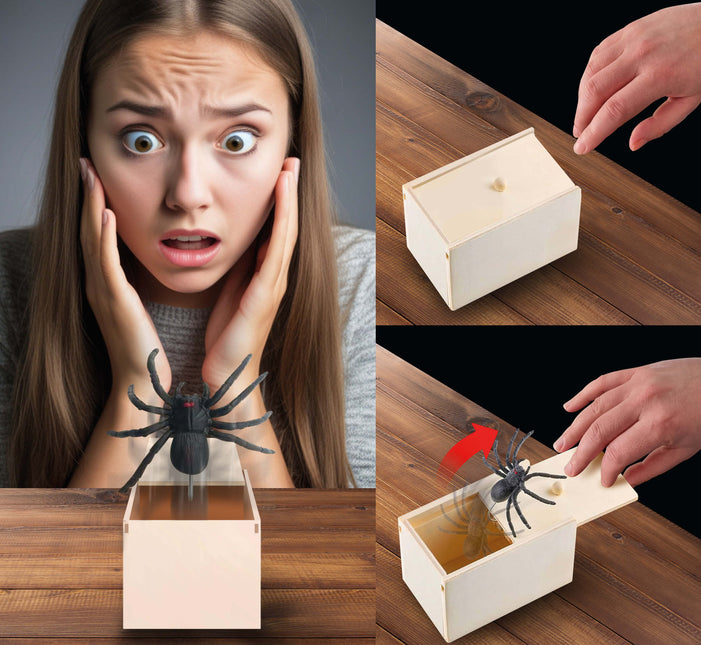 Ragno finto di Halloween in scatola