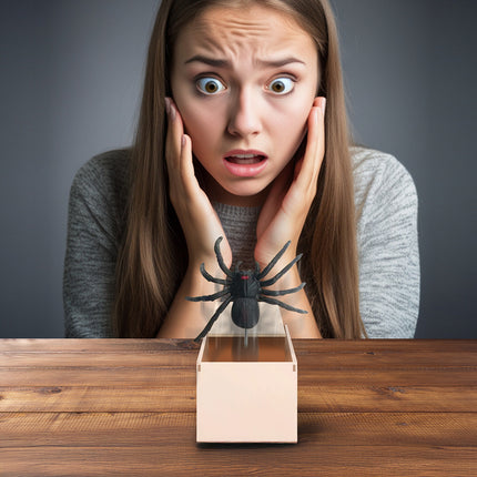 Ragno finto di Halloween in scatola