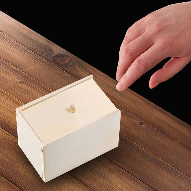 Ragno finto di Halloween in scatola