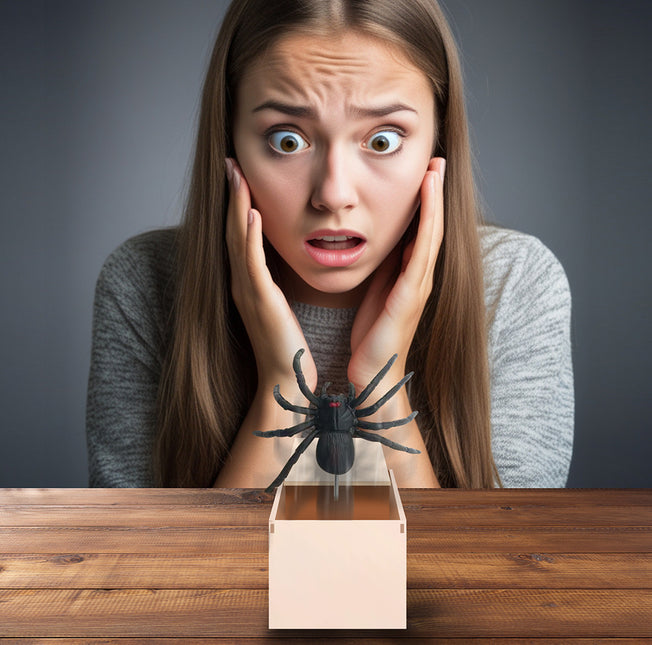 Ragno finto di Halloween in scatola