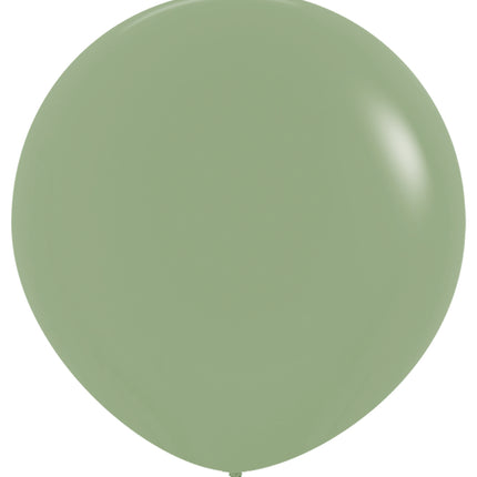 R36 - Eucalipto - 027 - 2 Pezzi