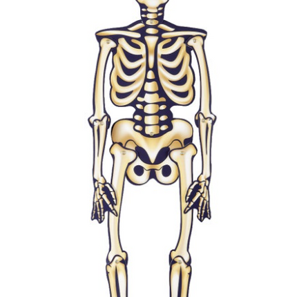 SCHELETRO ARTICOLATO DI HALLOWEEN