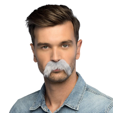 Baffi grigi