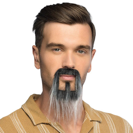 Barba Fantasy grigia