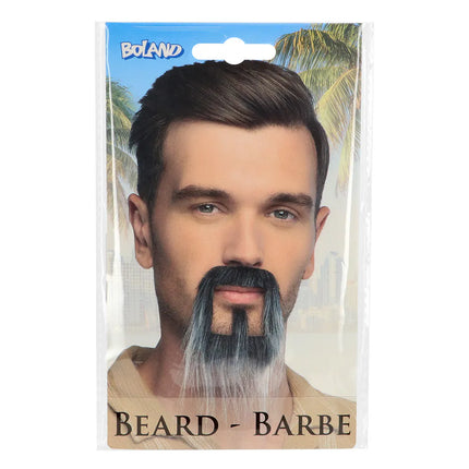 Barba Fantasy grigia