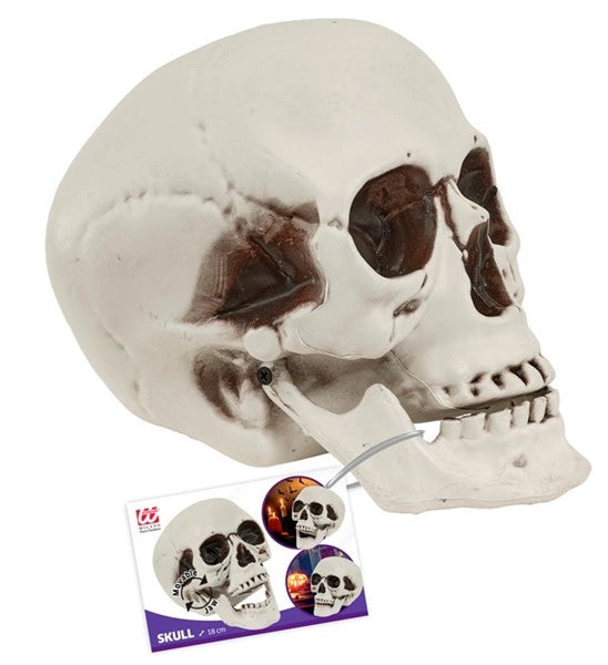 Teschio di Halloween con mascella mobile