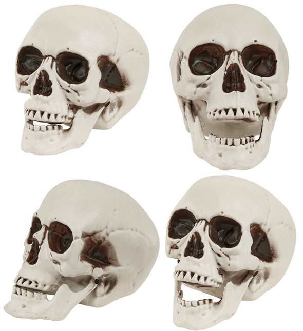 Cranio con mascella mobile 12 cm