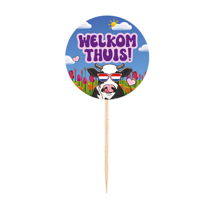 Picks da cocktail Welcome Home colorati 25 pezzi