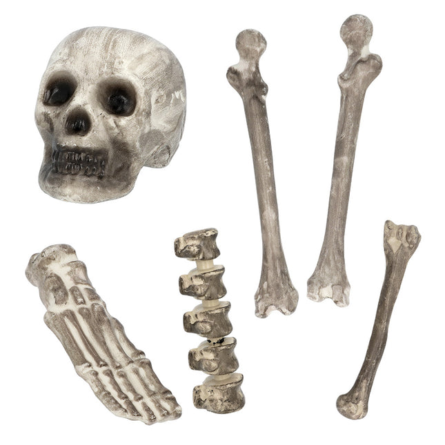 Scheletro di Halloween 6 pezzi