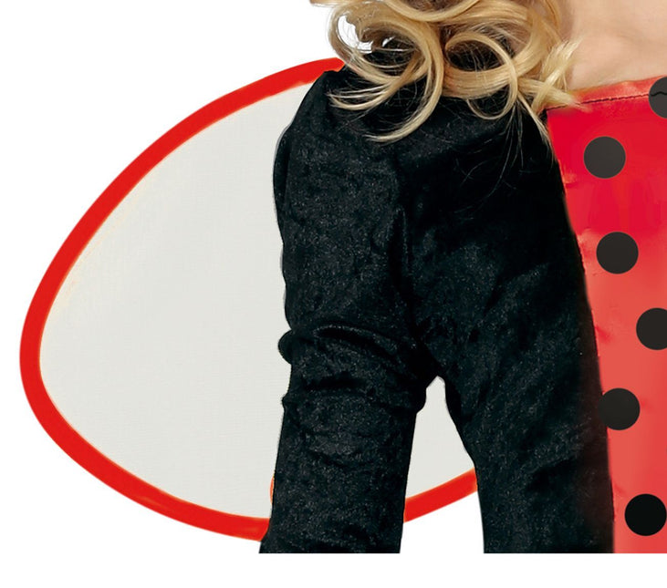Costume Coccinella Bambino