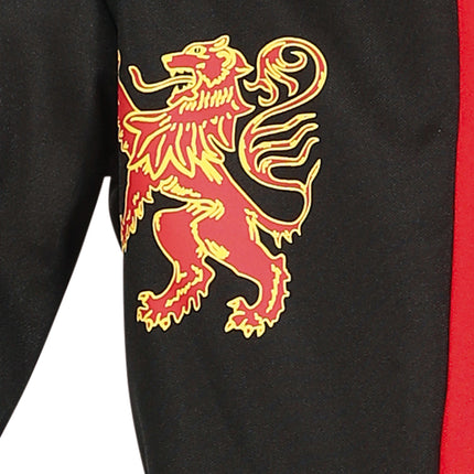 Costume da cavaliere ragazzo Medioevo