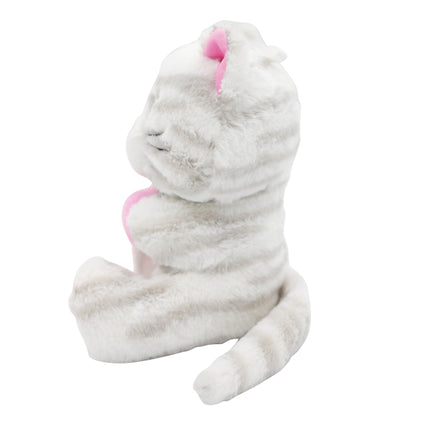 Peso del palloncino per gatti Hug 170gr