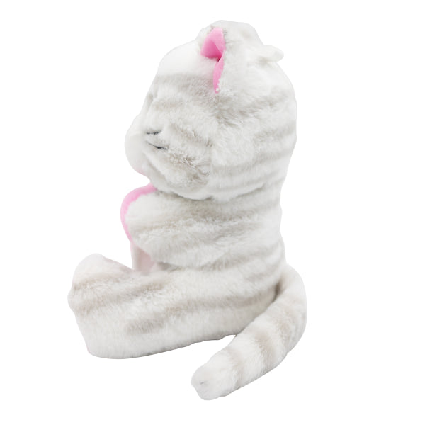 Peso del palloncino per gatti Hug 170gr