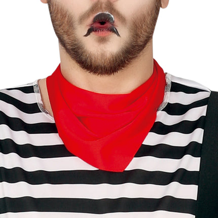 Costume da mimo