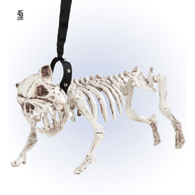 Cane scheletro di Halloween con cintura 45 cm