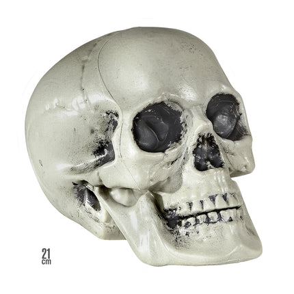 Teschio di Halloween 21 cm
