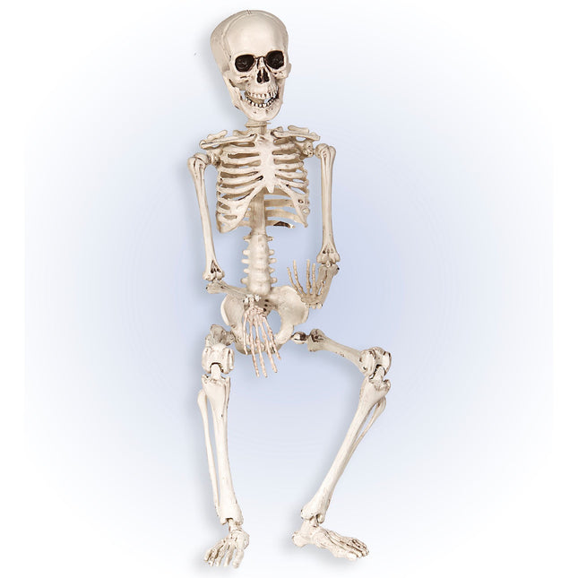Scheletro di Halloween bianco 50 cm