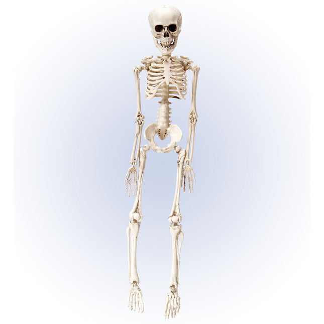 Scheletro di Halloween bianco 50 cm