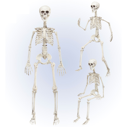 Scheletro di Halloween mobile 90 cm