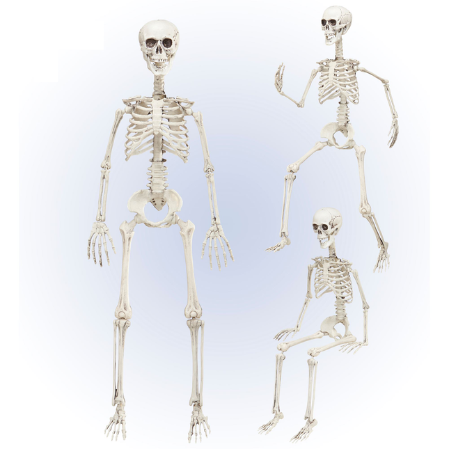 Scheletro di Halloween mobile 90 cm